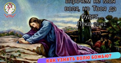 lkkt175